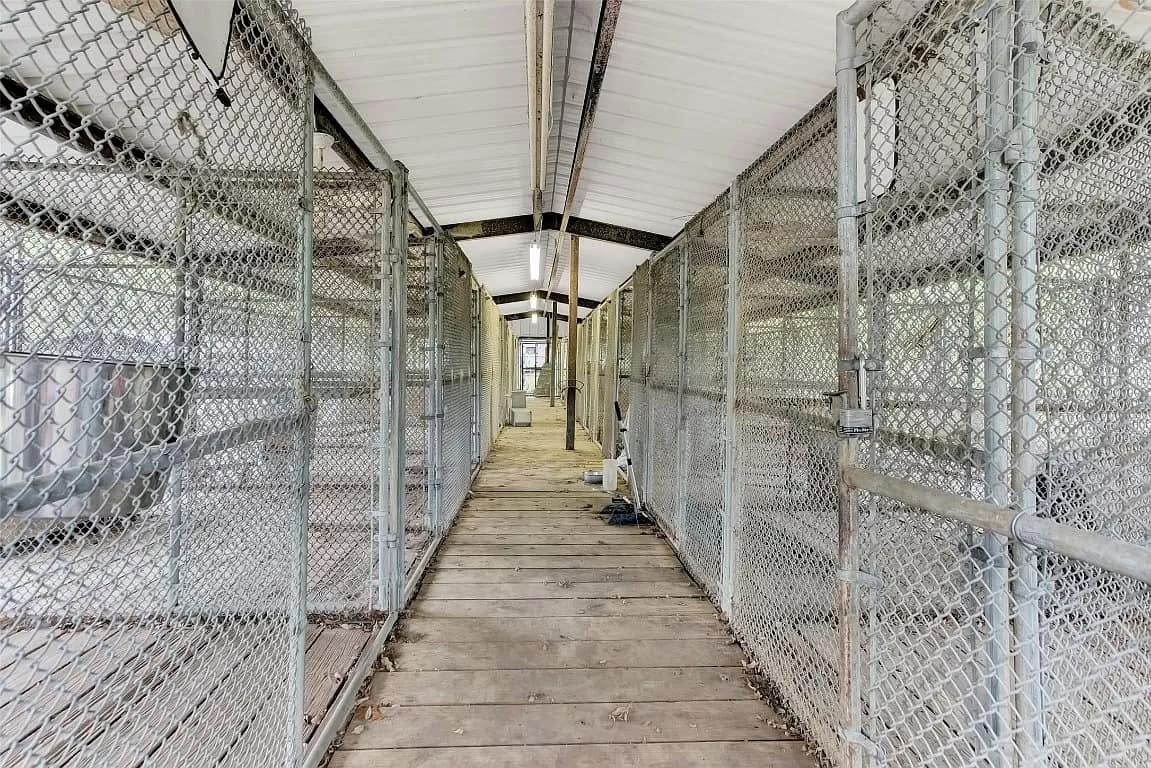 Professional Kennel Space